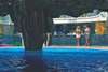 Phaselis Princess Hotel 